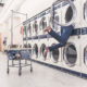 Plumbing Tri Cities Laundry Pro 2