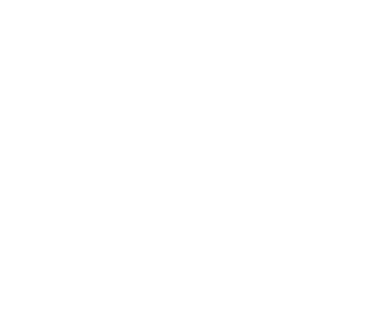 A1-